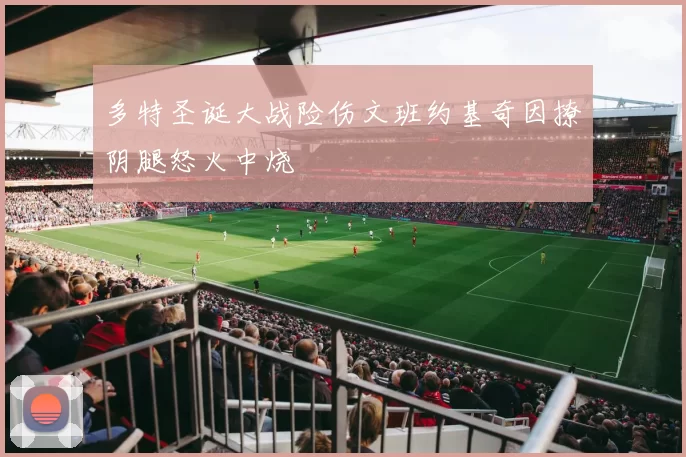 多特圣诞大战险伤文班约基奇因撩阴腿怒火中烧